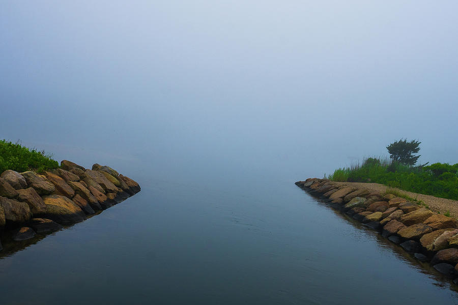 Falmouth Fog #1 Photograph by DiGiovanni Photography