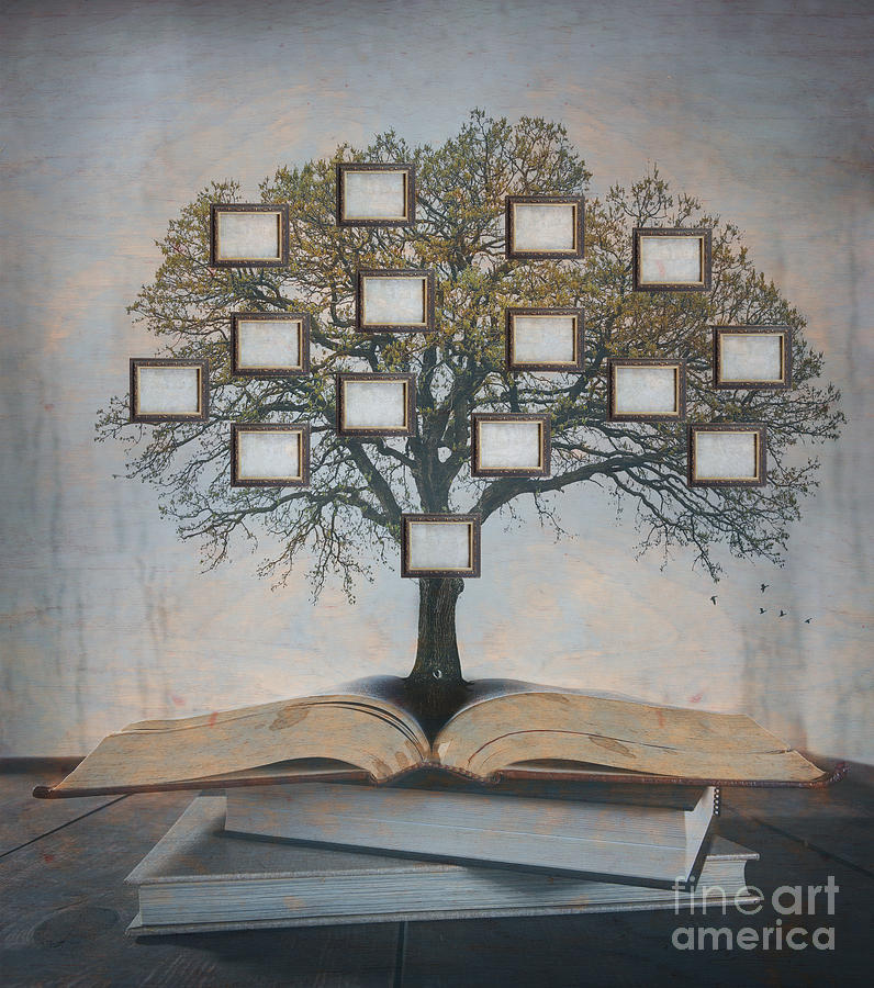 Vintage Photograph - Family Tree Genealogy by Suzanne Tucker Vintage Photograph - Family Tree Genealogy by Suzanne Tucker