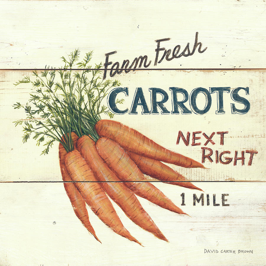Vegetable Painting - Farm Fresh Carrots #1 by David Carter Brown