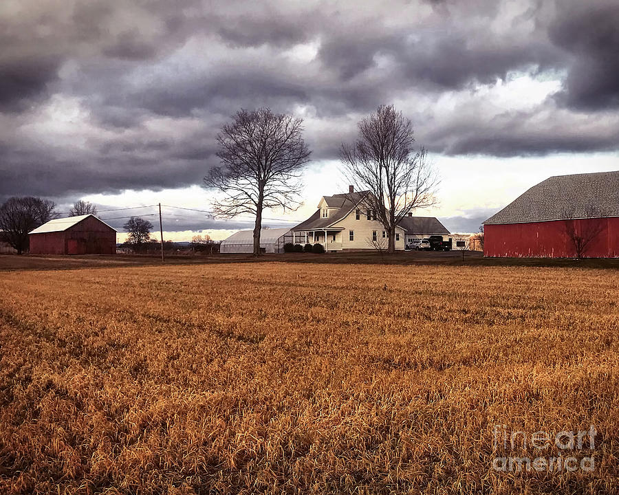 Farm #1 Photograph by HD Connelly