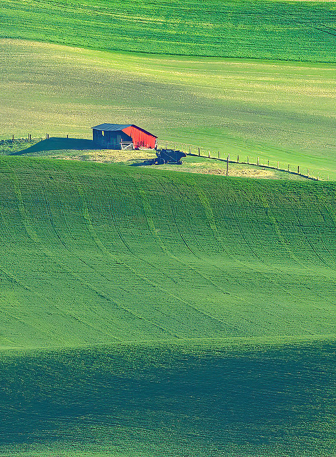 Landscape Photograph - Farmland Of Palouse #1 by Feng Qin