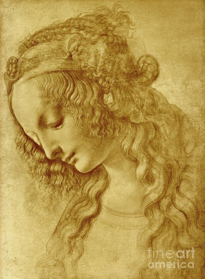 Leonardo Da Vinci Drawing - Female Head by Leonardo Da Vinci