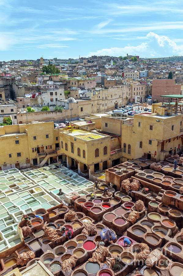 City Photograph - Fez tanneries in Morocco by Louise Poggianti