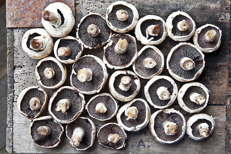 Field Mushrooms Lying Upside-down On A Wooden Surface #1 Photograph by George Blomfield