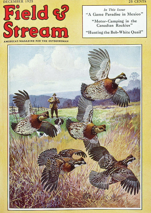 Field & Stream Magazine Cover December 1925 #1 Painting by Field & Stream Field & Stream Magazine Cover December 1925 #1 Painting by Field & Stream