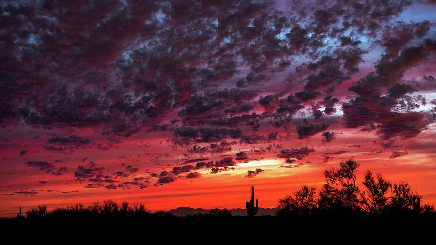 Fiery Desert Skies  #2 Photograph by Saija Lehtonen