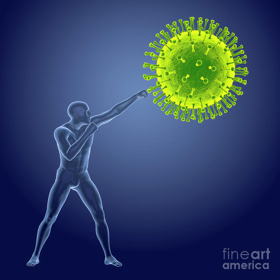 Fighting A Virus #1 Photograph by Kateryna Kon/science Photo Library