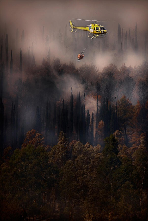Fire In The Cilento National Park - Italy #1 Photograph by Antonio Grambone