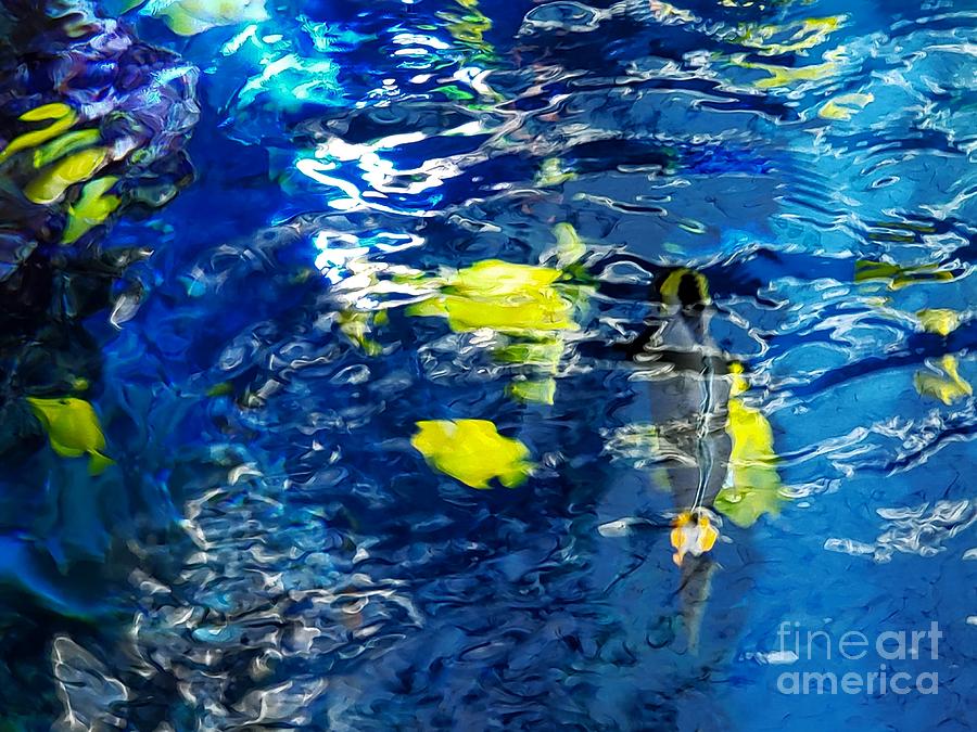 Fish Abstract  #2 Photograph by Donna Brown