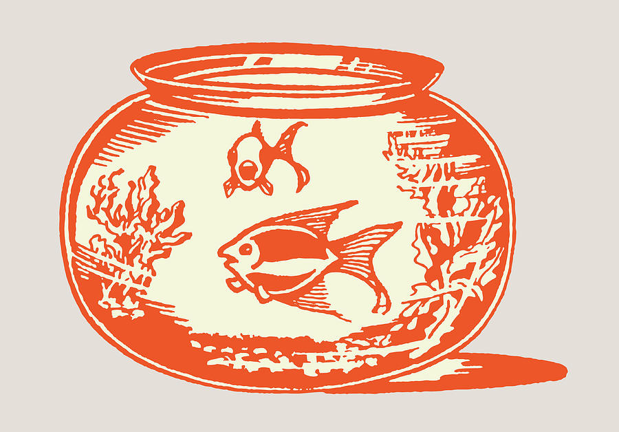 Fish Drawing - Fishbowl with Two Fish #1 by CSA Images