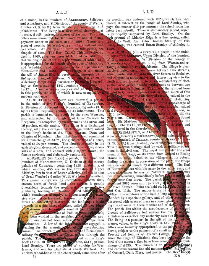 https://images.fineartamerica.com/images/artworkimages/mediumlarge/2/1-flamingo-in-pink-boots-fab-funky.jpg