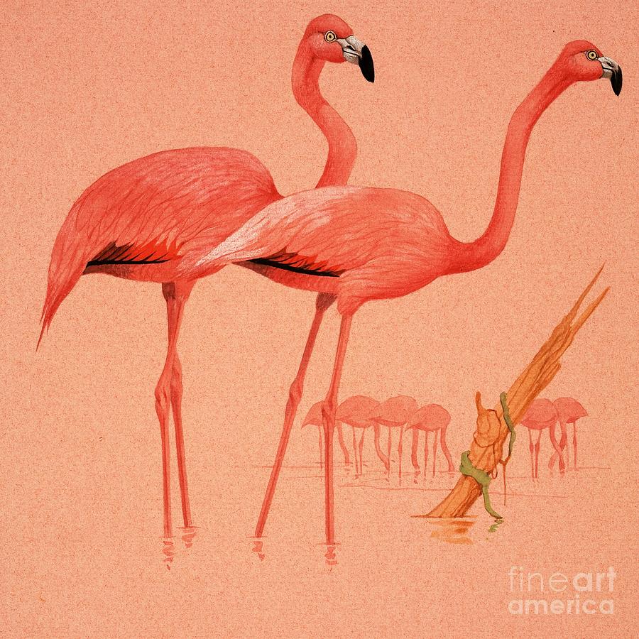 Flamingoes Painting by English School