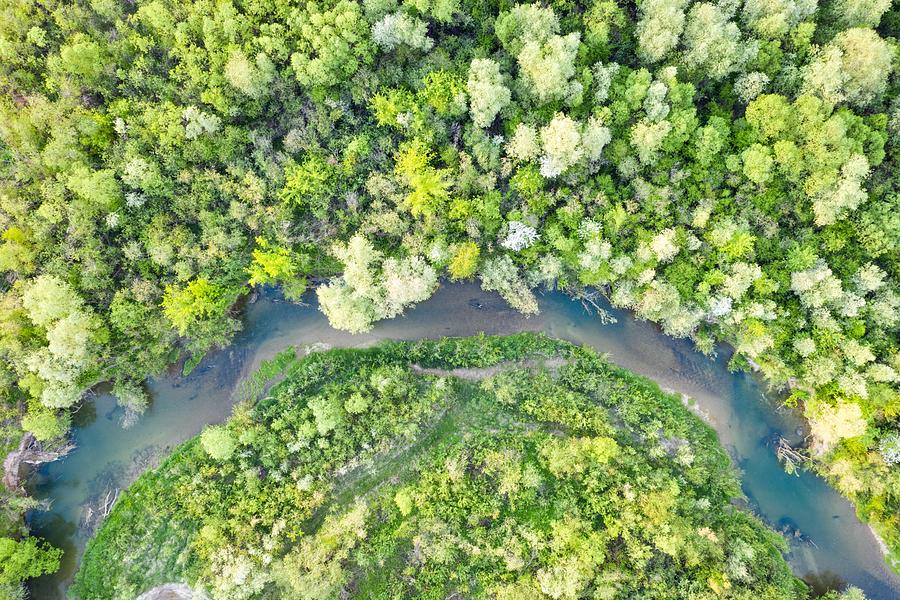 Tree Photograph - Flight Through Majestic River And Lush #1 by Ivan Kmit