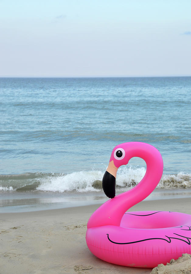 Flamingo Photograph - #floatgoals #1 by JAMART Photography