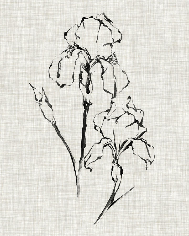 Floral Ink Study II #1 Painting by Ethan Harper