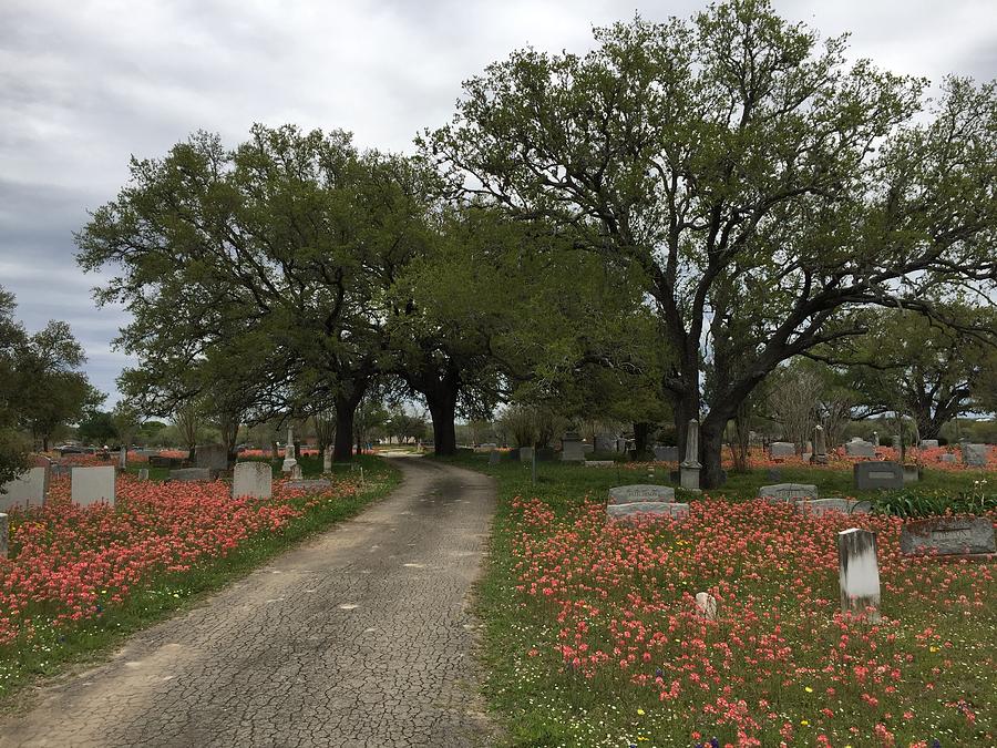 Floresville Cemetery #1 Photograph by Melissa Torres