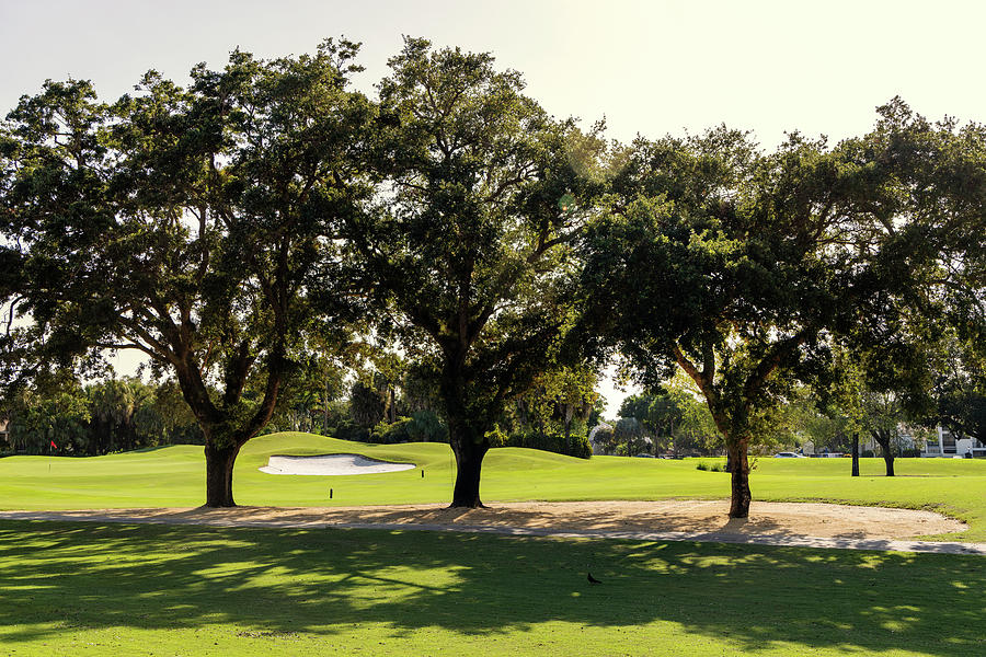 Florida, Boca Raton, Golf Course #1 Digital Art by Laura Diez