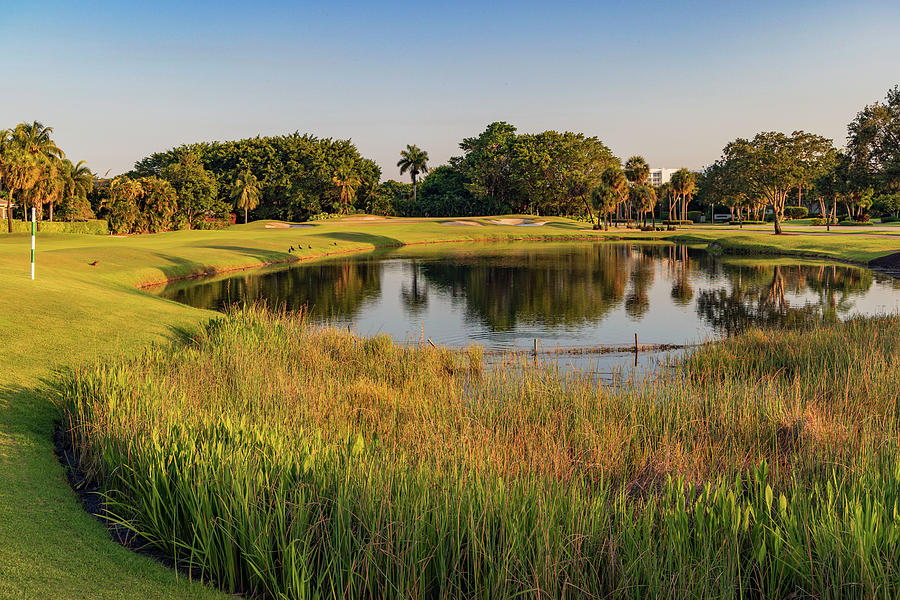 Florida, Boca Raton, Golf Course With Lake #1 Digital Art by Laura Diez