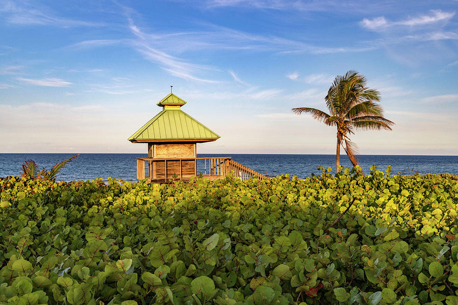 Florida, Boca Raton, Lifeguard Tower & Palm Tree On The Beach #1 Digital Art by Laura Diez