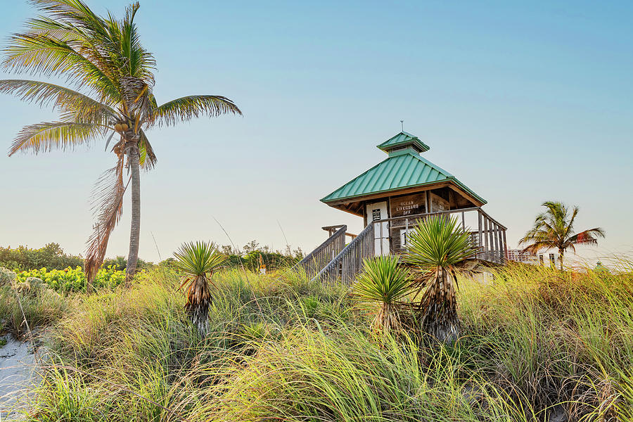 Florida, Boca Raton, Lifeguard Tower With Palm Tree At The Beach #1 Digital Art by Laura Diez