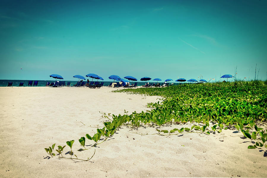 Florida, Clearwater, Indian Rocks Beach, Horizon With Umbrellas #1 Digital Art by Gabriel Jaime Jimenez