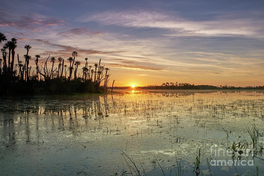Florida Sunrise Photograph by Brian Kamprath