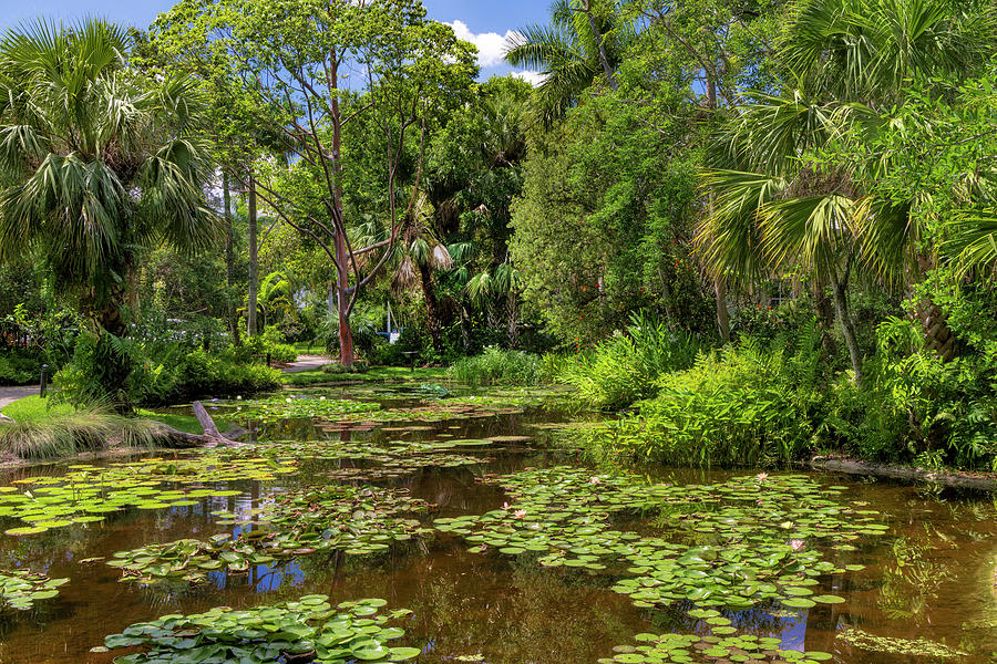 Florida, Vero Beach, Mckee Botanical Gardens Digital Art by Laura Diez ...