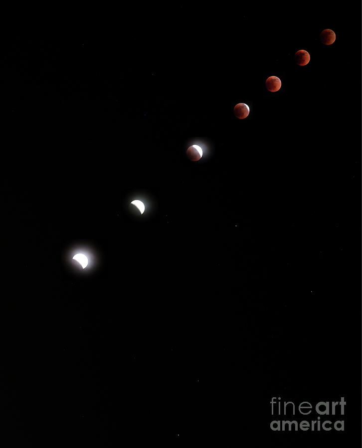 Flower Moon Lunar Eclipse 2022 #1 Photograph by Nasa/michael Democker/science Photo Library