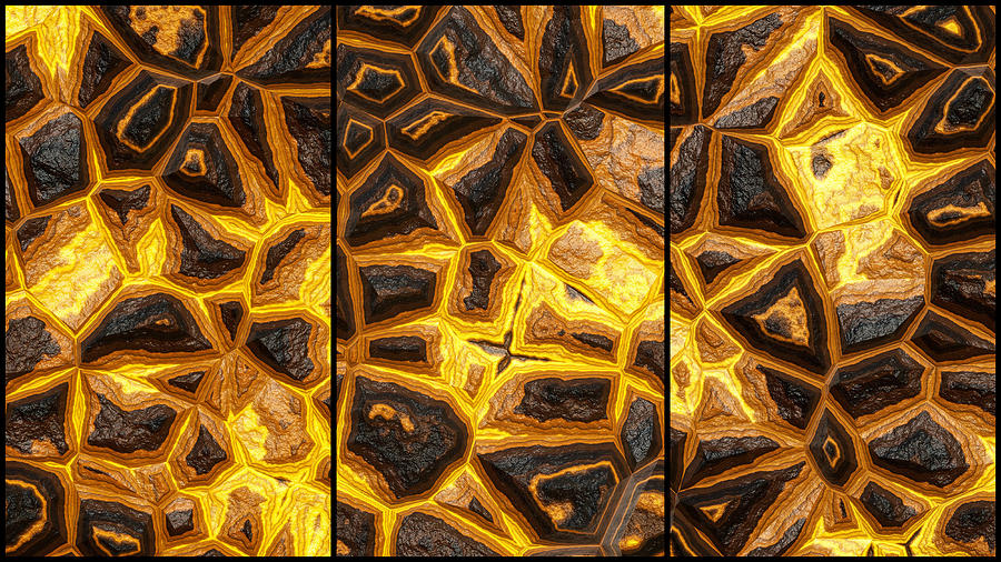 Flower Stone Wall Triptych #1 Digital Art by Don Northup