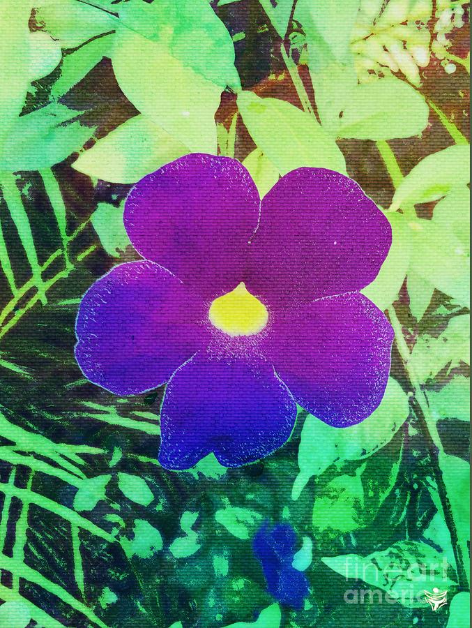 FLOWER221117 by Ron Labryzz FLOWER221117 by Ron Labryzz