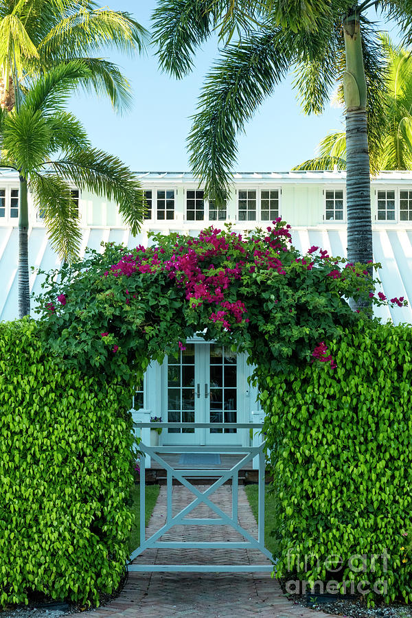 Flowers and Old Cottage Naples Florida #2 Photograph by Brian Jannsen