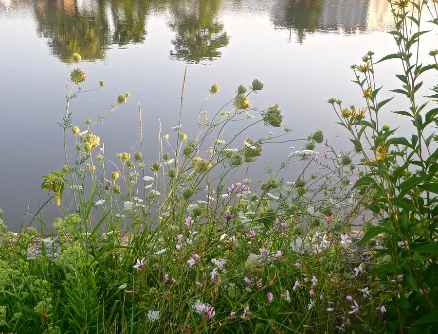 Flowers with Lake #1 Photograph by Ellen Paull