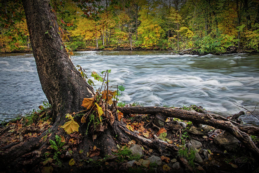 Flowing water on the Thornapple River #1 Photograph by Randall Nyhof