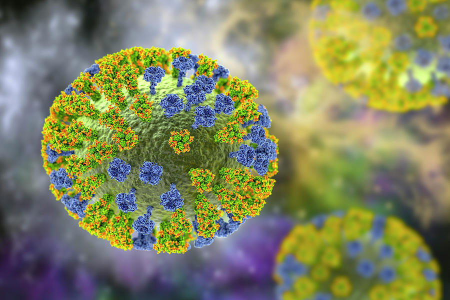 Flu Virus. Illustration Photograph by Kateryna Kon - Fine Art America