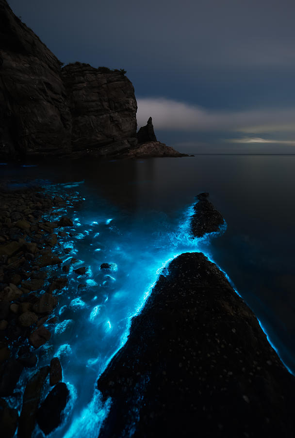 Fluorescent Sea Photograph by Shanyewuyu