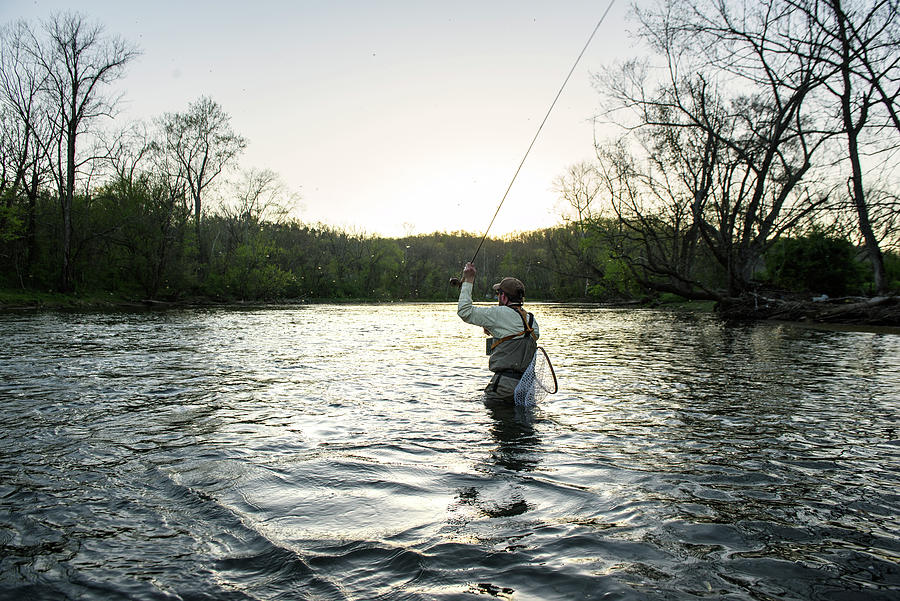 Insects Photograph - Flyfishing At Sunset During A Caddis Emergence #1 by Cavan Images