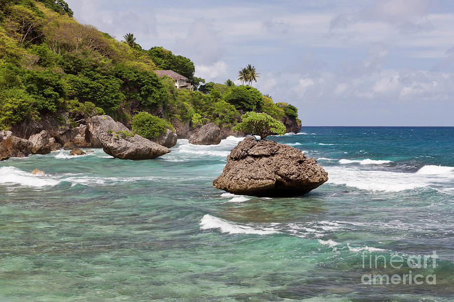Beach Photograph - Flying Fish Cove Beach by Reinhard Dirscherl/science Photo Library Beach Photograph - Flying Fish Cove Beach by Reinhard Dirscherl/science Photo Library