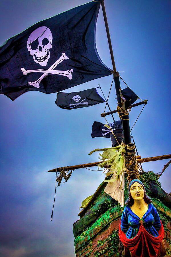 Flying The Black Flag Photograph by Garry Gay