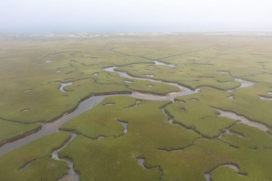 Nature Photograph - Fog Drifts Over An Extensive Salt Marsh #1 by Ethan Daniels