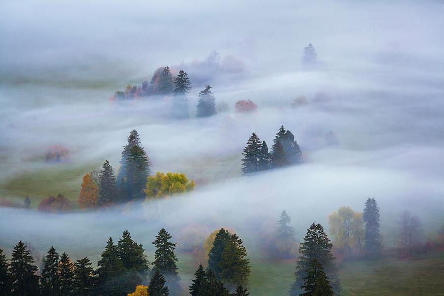 Fog Over Landscape #1 Digital Art by Olimpio Fantuz