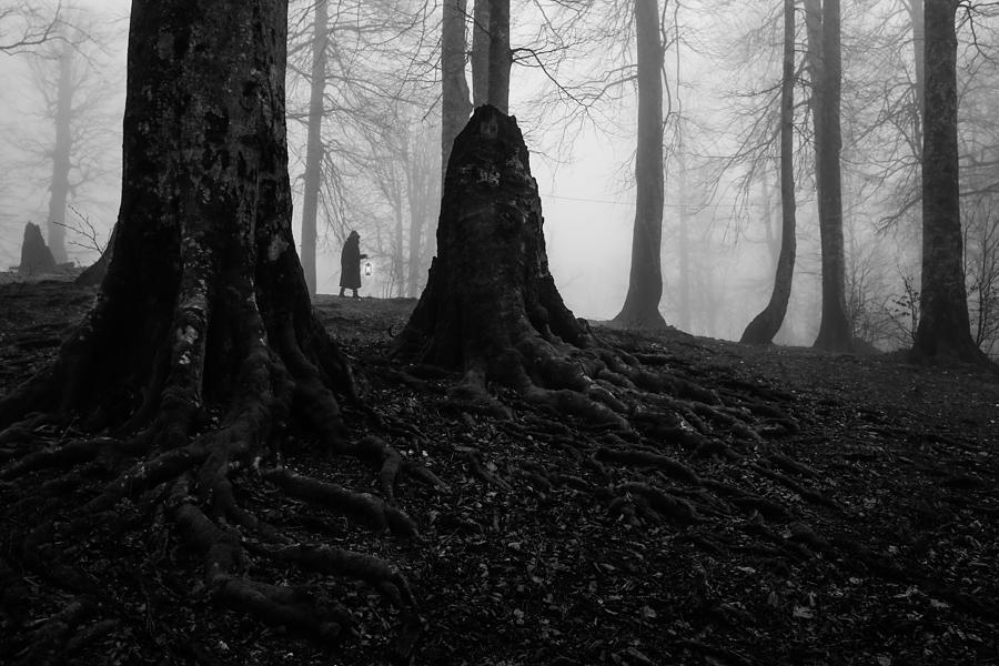 Fog #1 Photograph by Ummu Nisan Kandilcioglu