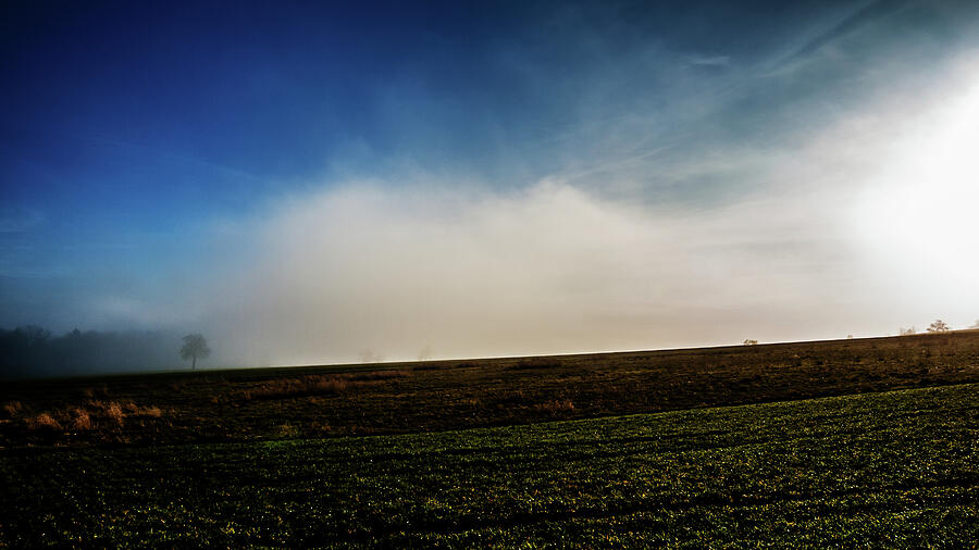 Fog Wall Photograph by Jorg Becker