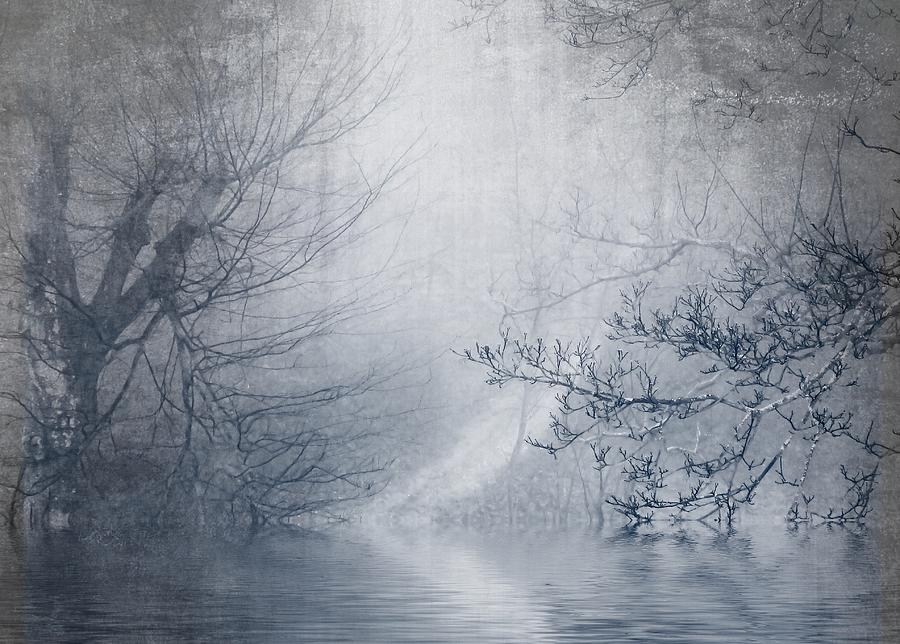 Nature Photograph - Foggy Day #1 by Anna Cseresnjes