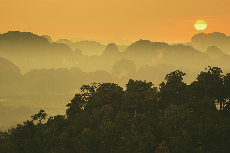 Foggy Landscape At Sunset In Asia #1 Photograph by Moreiso