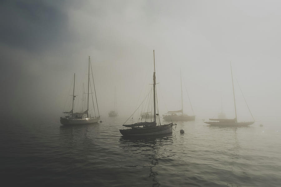 Foggy Marina by Christina Maiorano Foggy Marina by Christina Maiorano