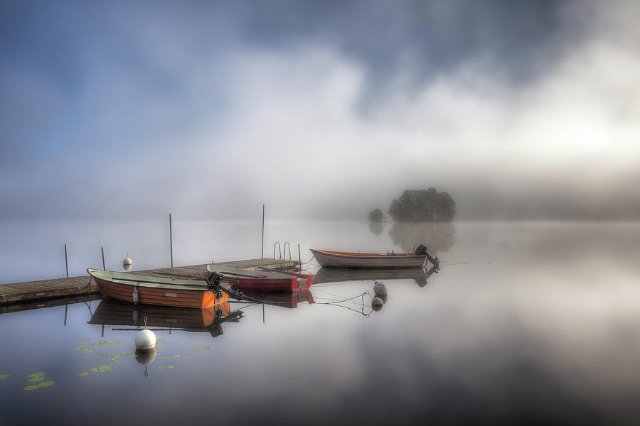 Foggy Morning At The Lake Photograph