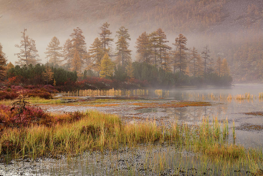 Foggy Morning At The Lake, Magadan Region, Russia #1 Photograph by Maksim Evdokimov