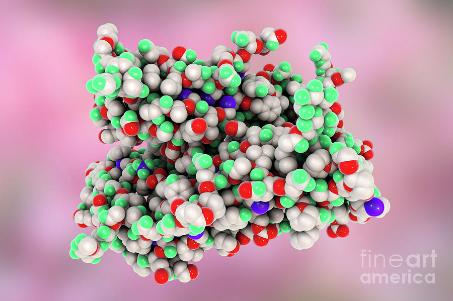 follicle-stimulating-hormone-photograph-by-kateryna-kon-science-photo