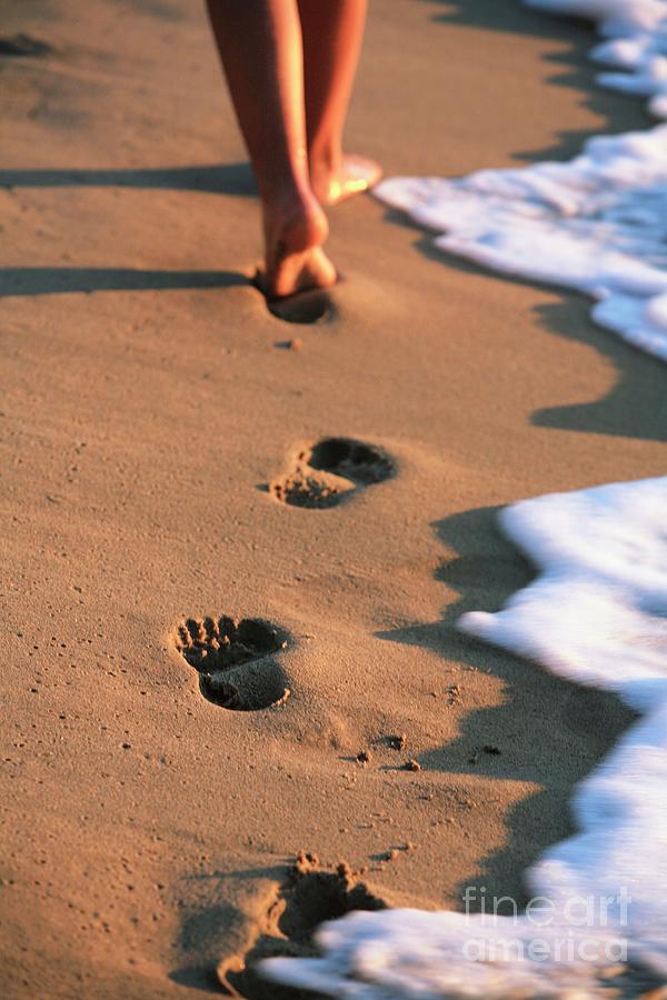 Footprints On A Beach #1 Photograph by Science Photo Library Footprints On A Beach #1 Photograph by Science Photo Library