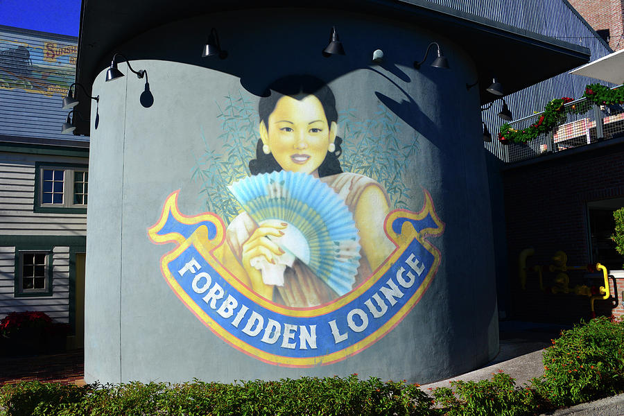 Forbidden Lounge Disney Springs #1 Photograph by David Lee Thompson